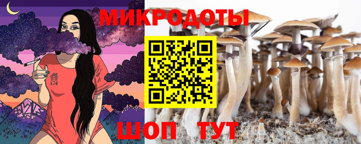 Галлюциногенные грибы прущие грибы Полевской