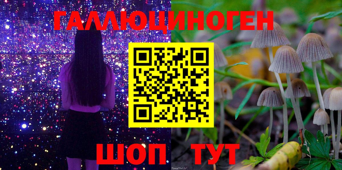 Полевской  дарнет шоп  Галлюциногенные грибы прущие грибы  Вход с VPN  Галлюциногенные грибы мицелий 